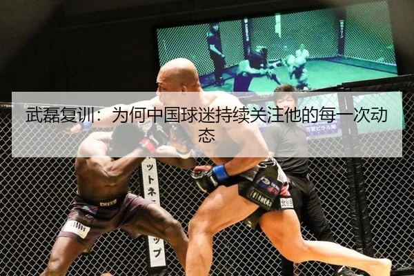 武磊复训：为何中国球迷持续关注他的每一次动态